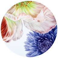 Wandbild II, Giant Bloom, Lim. 15, Ø 40 cm