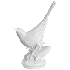 Vogel Bachstelze, Weiß