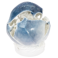 Rochenkugel, Bunt staffiert, Signet Meissen Exklusiv Kollektion, gold, Lim., H 44 cm