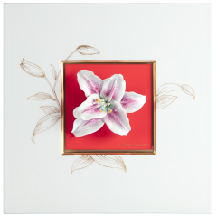 Wandbild mit Lilienblüte, Roter Fond, Sign. H. Bretschneider, H 23 cm