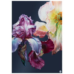 Wandbild, Giant Bloom - Iris und Mohn, Lim. 15, 75 x 51 cm