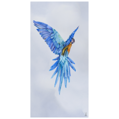 Wandgemälde "Gelbbrust Ara", 60 x 30 cm