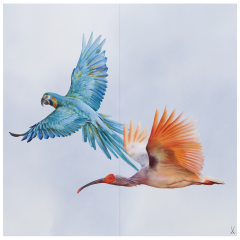 Wandgemälde "Ara & Ibis", 60 x 60 cm
