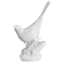 Vogel Bachstelze, Weiß