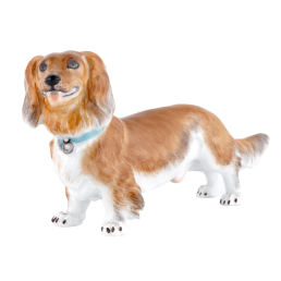 Hund Dackel, Bunt staffiert, H 11 cm